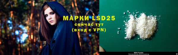 гидра Верея