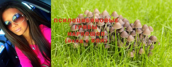 гидра Верея
